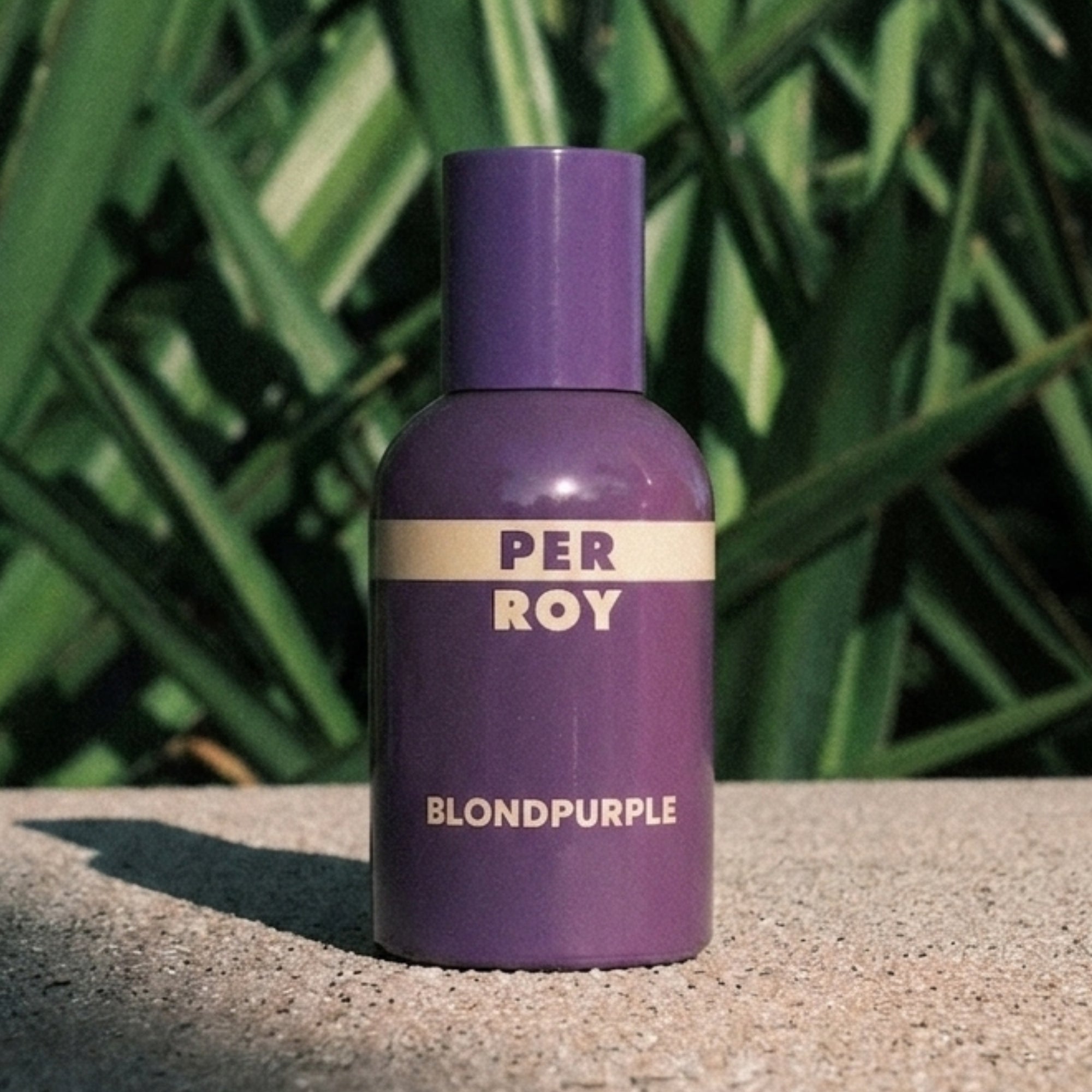 BLONDPURPLE_a7230691-3033-4f3a-b9cc-b0a2009a6693.jpg