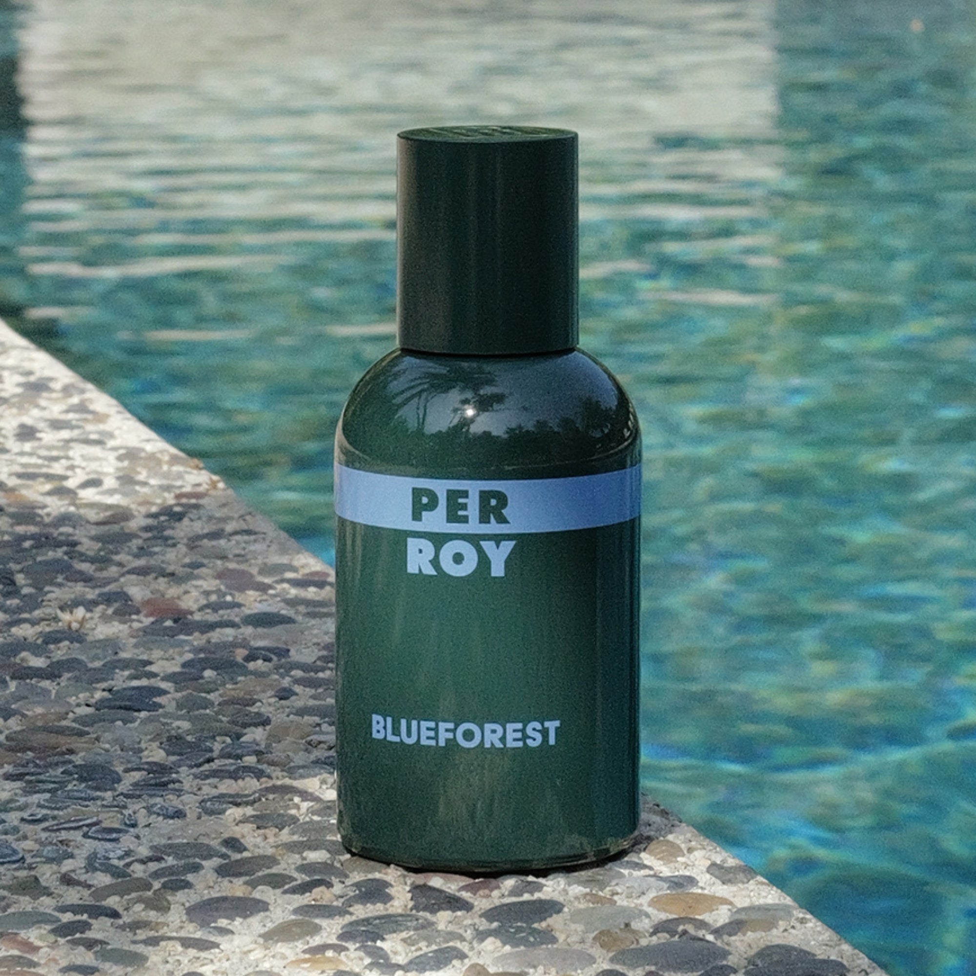 BLUEFOREST_b6e17ac2-0167-495a-b207-f248bb9c68ca.jpg